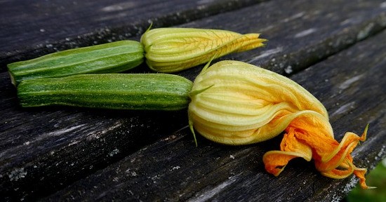 Zucchine e fiori di zucca