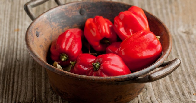 Essiccare l'habanero: consigli utili - GreenStyle
