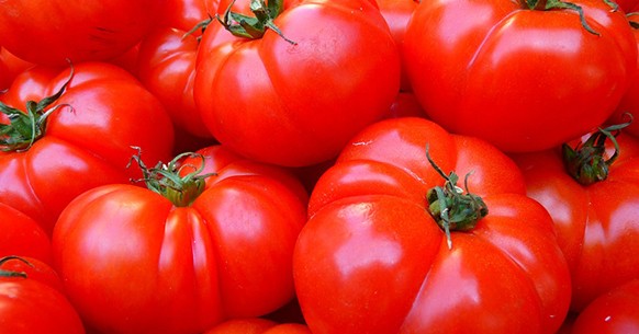 Pomodori