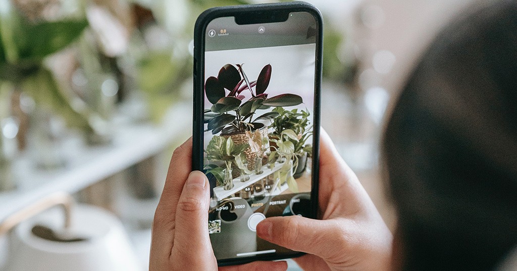 Verde Urbano By GreenStyle Come Fotografare L orto GreenStyle