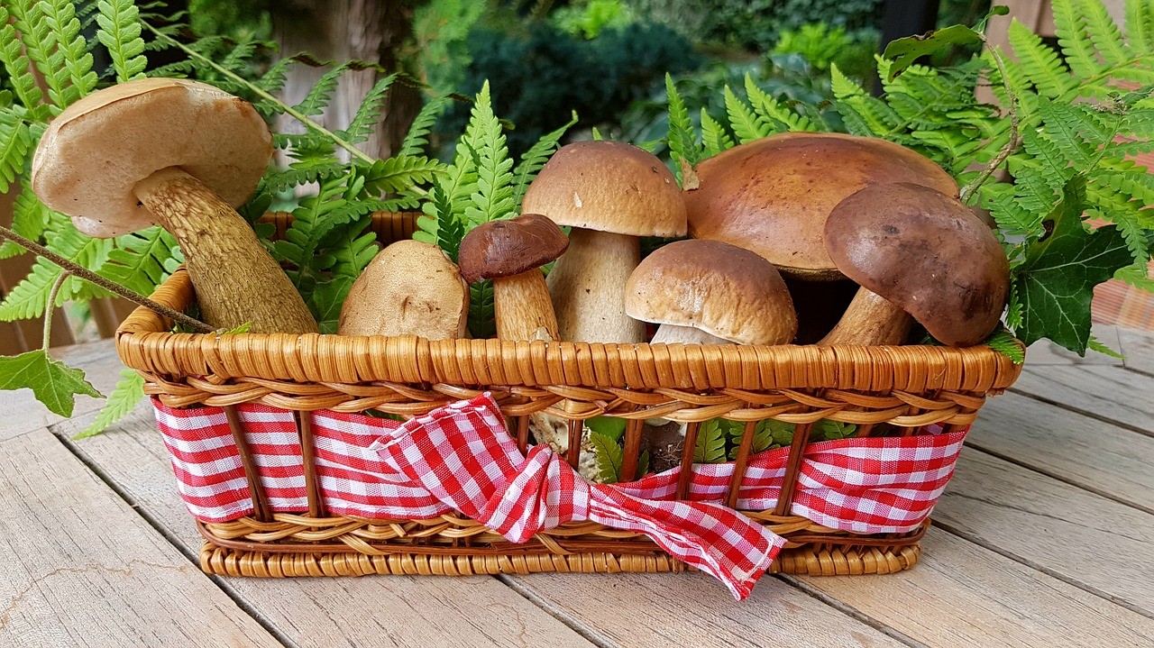 300 Semi Di Funghi Commestibili - Facili Da Coltivare, Per Giardino O Balcone - Foto 3