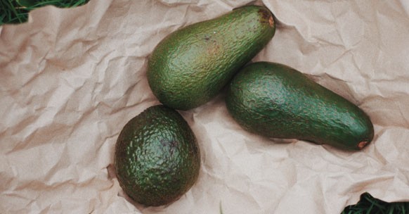 avocado varietà