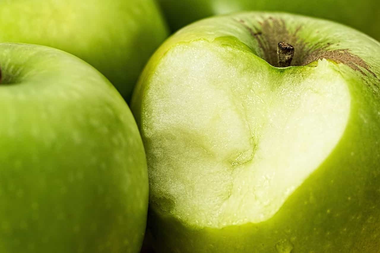 calorie mela