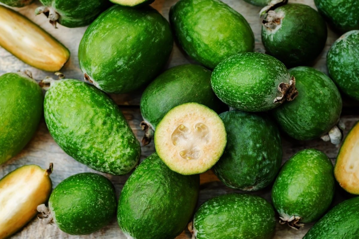 Feijoa Origine E Propriet Del Frutto GreenStyle Feijoa Origine E Propriet Del Frutto GreenStyle