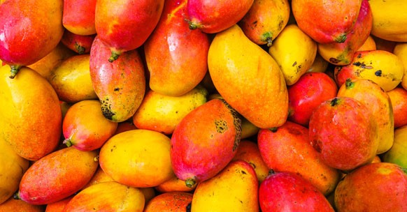 frutti esotici mango
