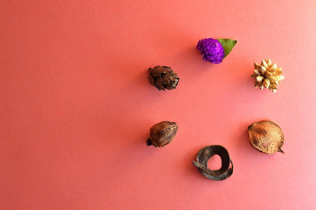 Pot Pourri Cos E Come Farlo Per Profumare Casa GreenStyle