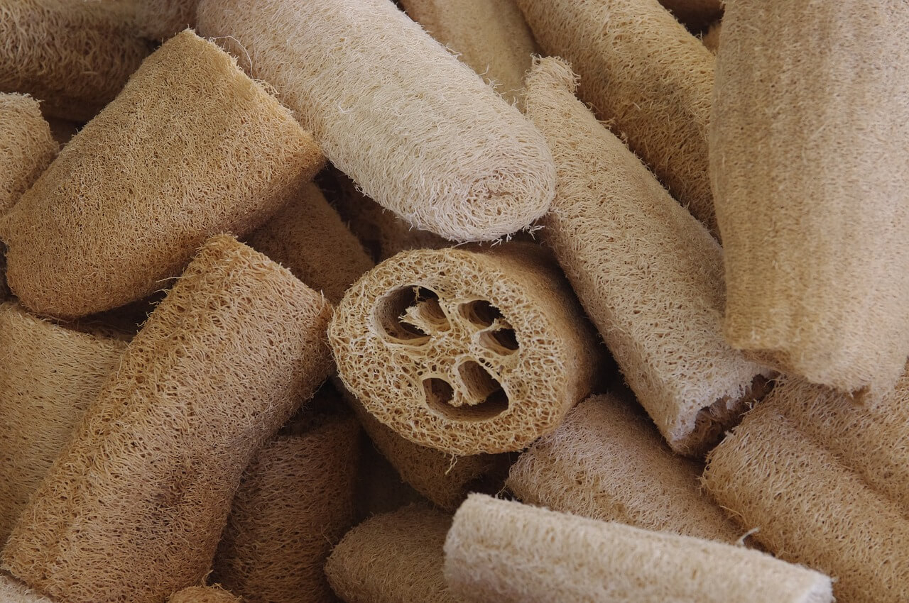 spugna luffa dove si compra