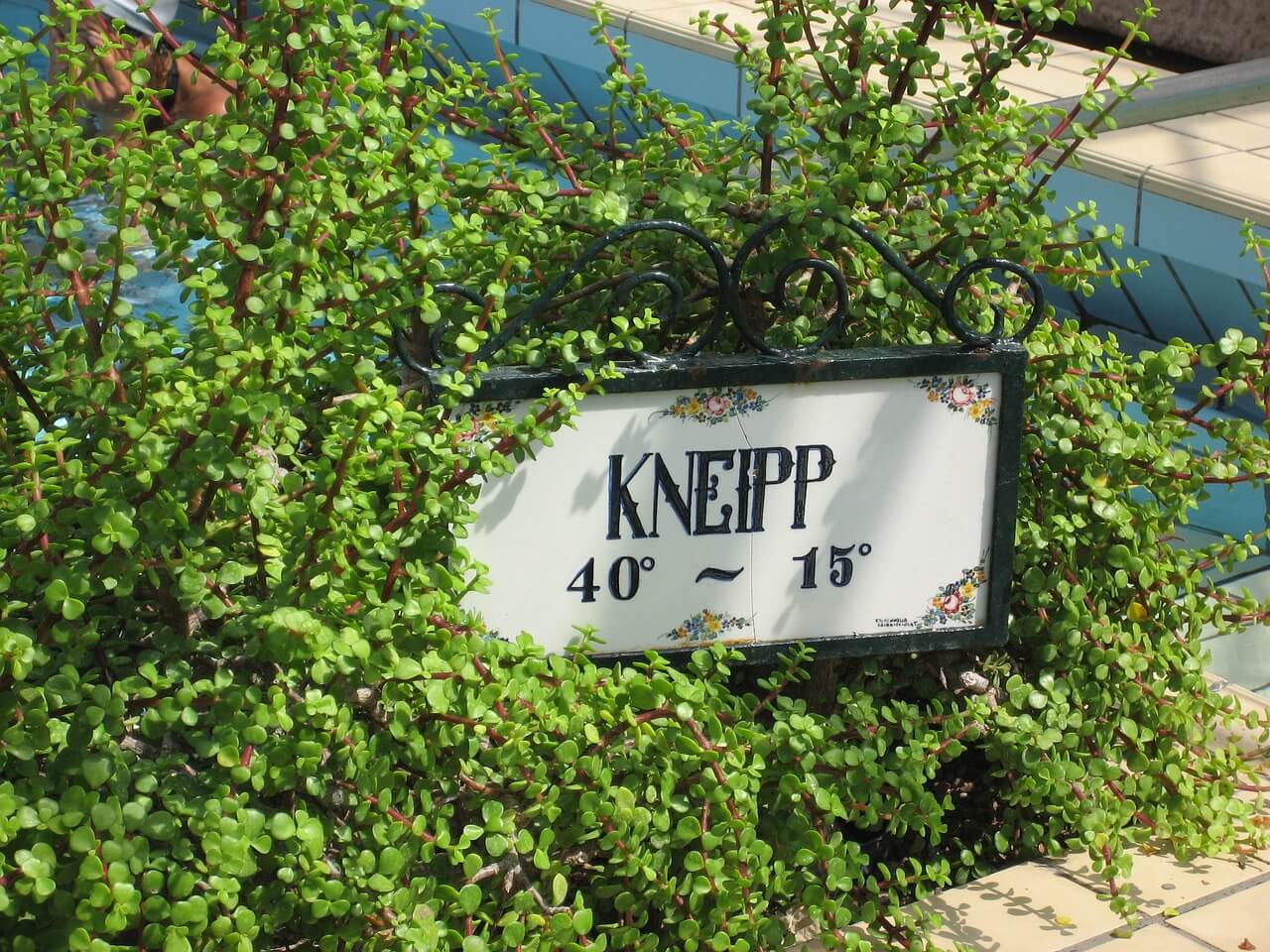 Le chemin Kneipp