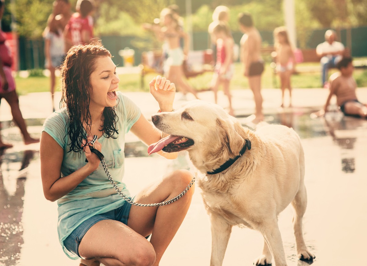 Il cane ha troppo caldo? I segnali per capirlo Petsblog