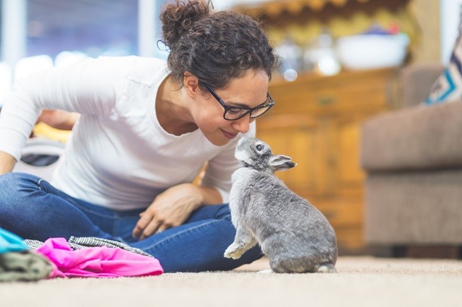 Otite Nel Coniglio Cause Sintomi E Terapia Petsblog