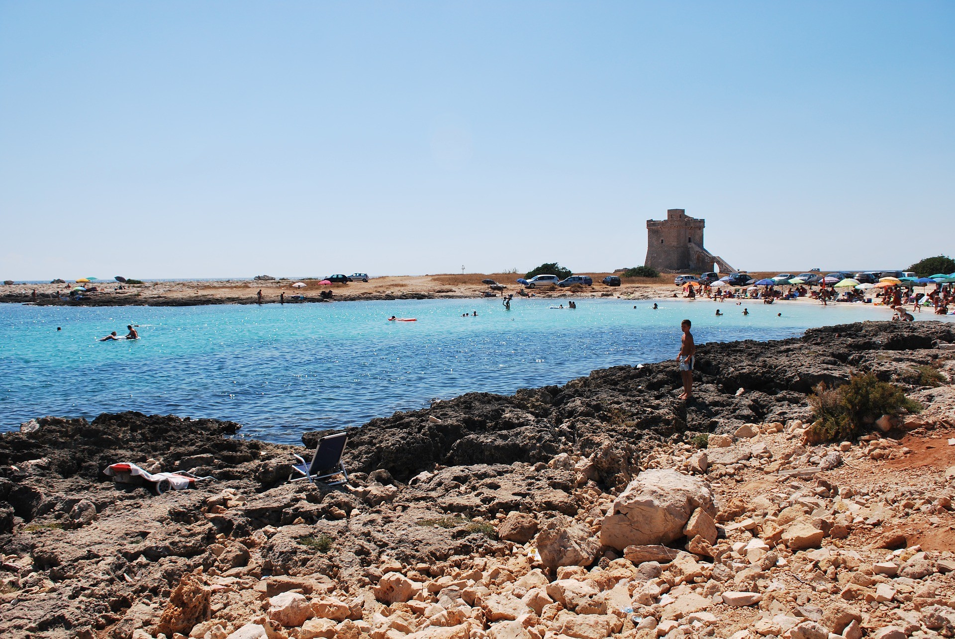 Foca Monaca Avvistamenti Straordinari Nel Salento