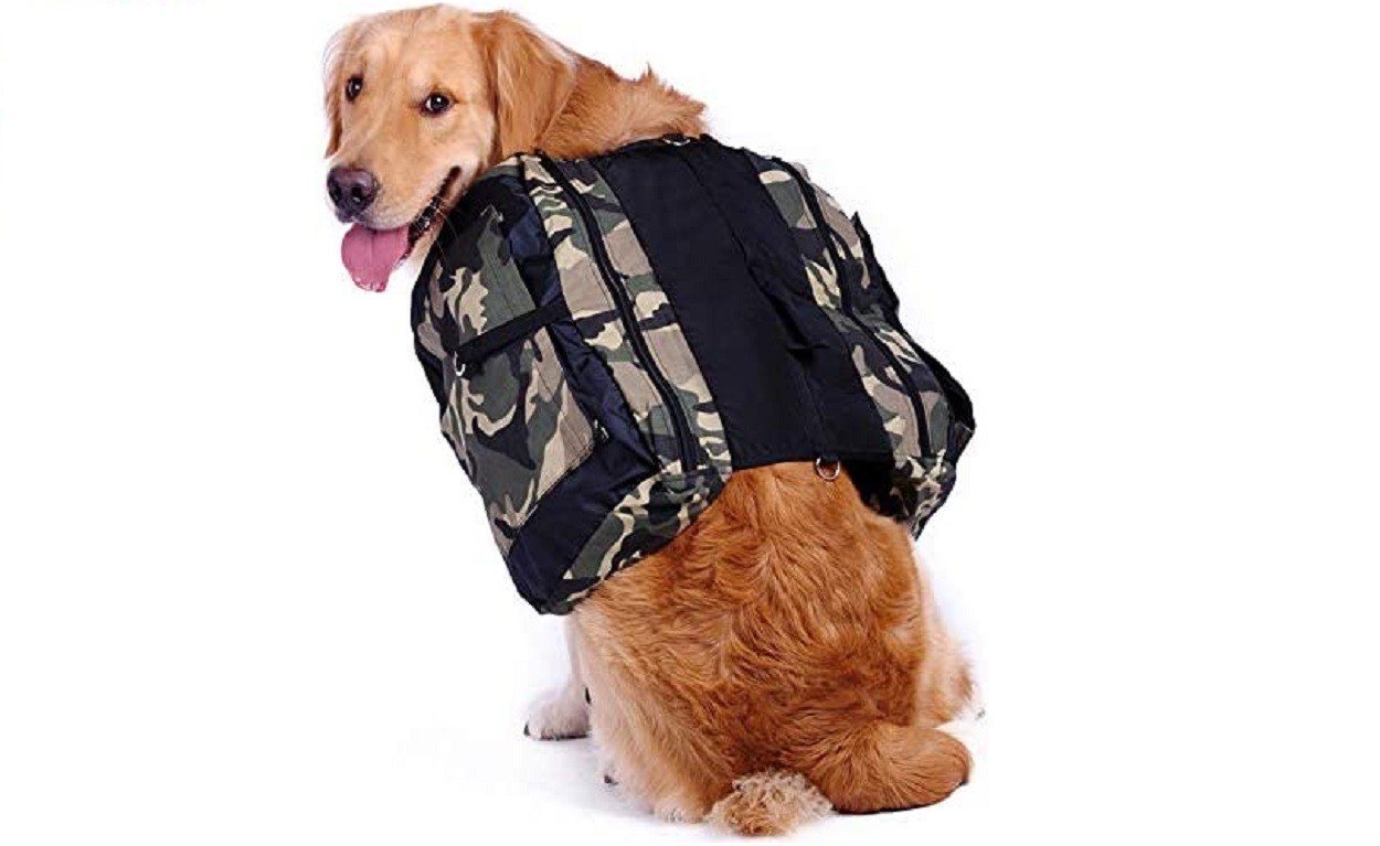 Pettorina Radio ANPPEX - Zaino Regolabile Per Walkie-Talkie, Tascabile, Per Outdoor - Foto 13