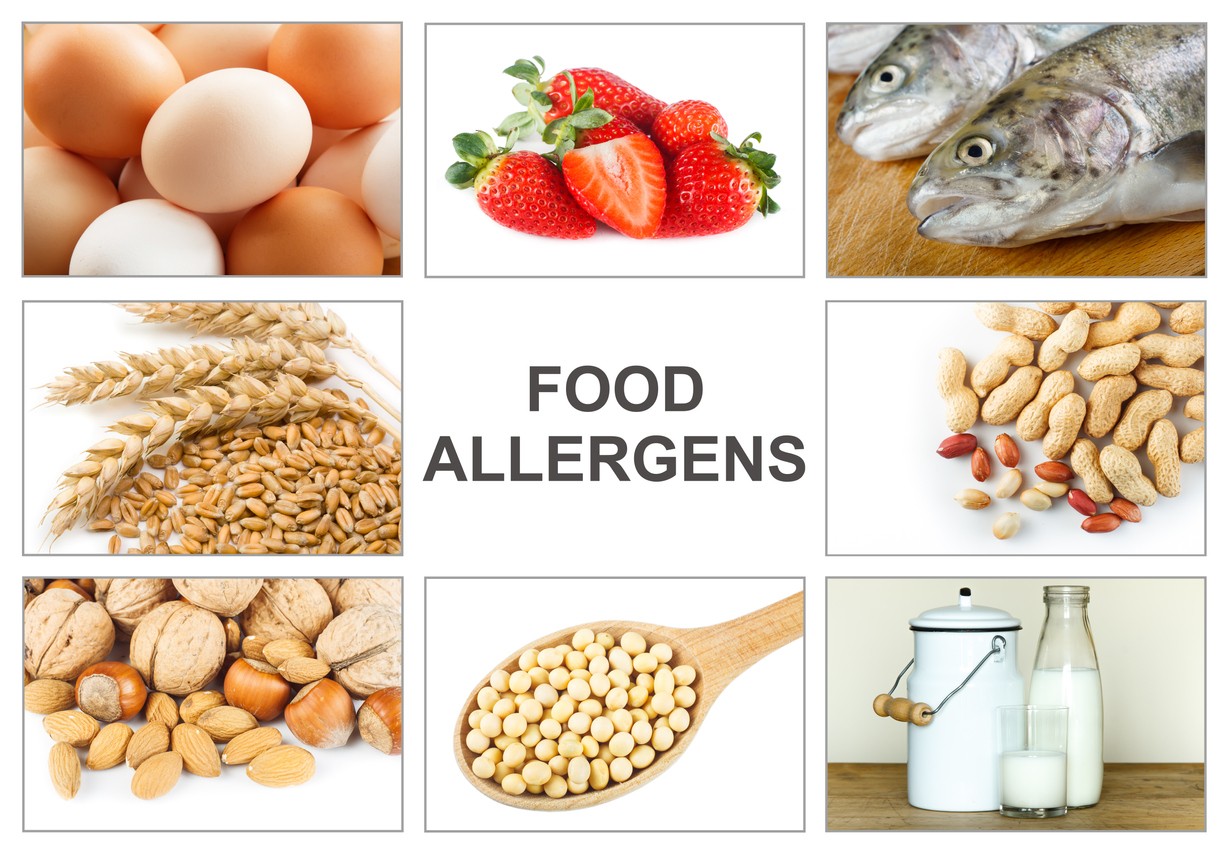 Le Allergie Alimentari Si Combattono Con I Batteri Intestinali 