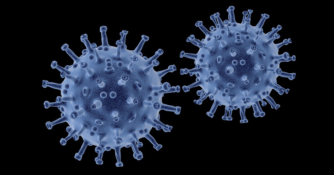 Virus Epstein Barr: i tipi di virus