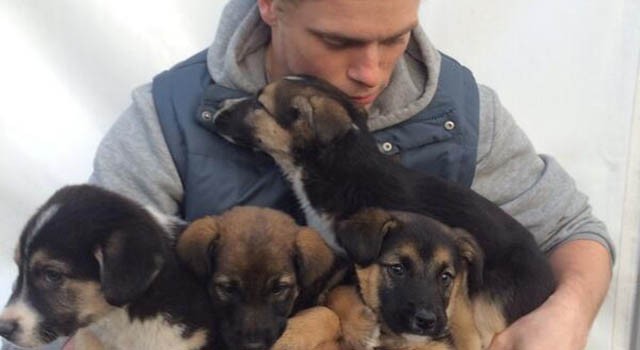 Gus Kenworthy con i cani di Sochi