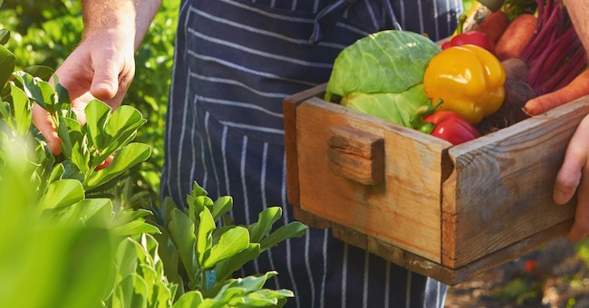 Agricoltura biologica