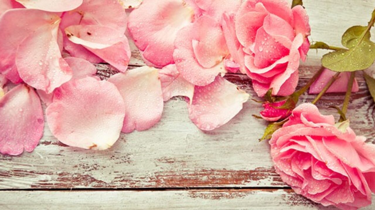 TPZORJX Petali di Rosa Secchi Biodegradabili, Coriandoli Naturali per Matrimonio, Bagno, Spa e Decorazione Casa con Fiori Secchi, 100g