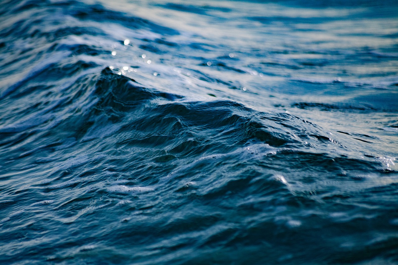 acidificazione degli Oceani