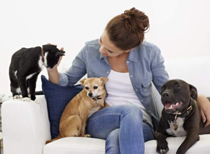 Siamo così immersi nei nostri impegni e pensieri quotidiani da perdere di vista l'importanza di questa connessione.