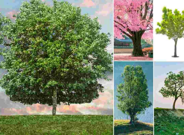 Sei geloso? Scoprilo con questo test