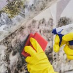 addio muffa rimedio casalingo