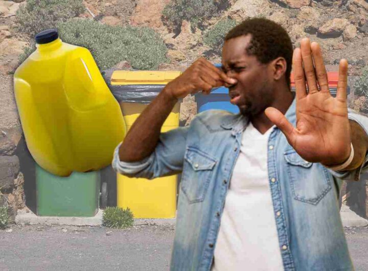 urina spazzatura storia