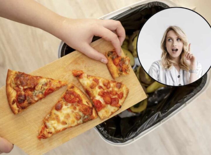 Questa situazione è particolarmente critica nei mesi estivi, quando il caldo e l'umidità favoriscono la proliferazione di insetti e cattivi odori