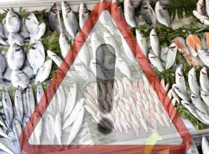 Questo richiamo è stato attivato a causa della possibile presenza di Listeria monocytogenes