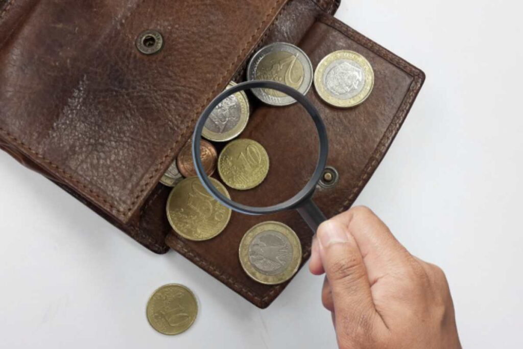 Tra le monete più ricercate dai collezionisti, i due euro commemorativi