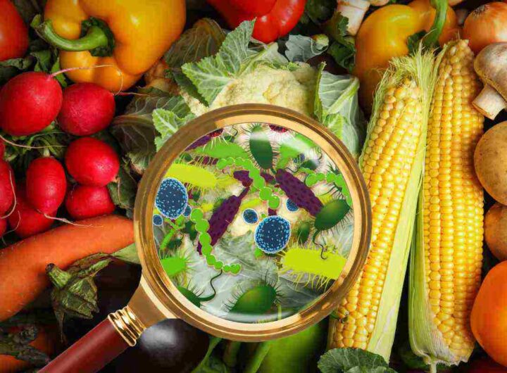 Richiamo alimentare, attenzione a questi frutti estivi comunissimi