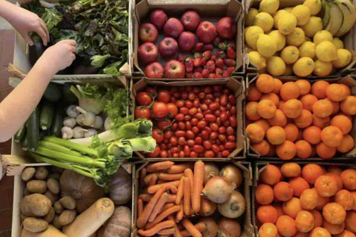 Questa iniziativa si inserisce in un più ampio quadro di politiche di welfare e assistenza sociale, con l’obiettivo di ridurre le disuguaglianze