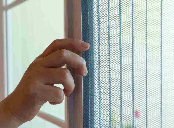 Addio zanzare, benvenuta aria fresca: