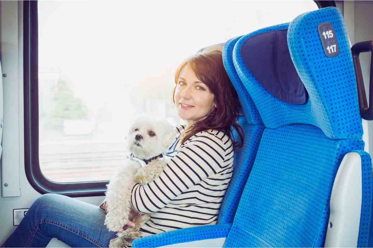 questa estate treni gratis per i pet di tutte le taglie