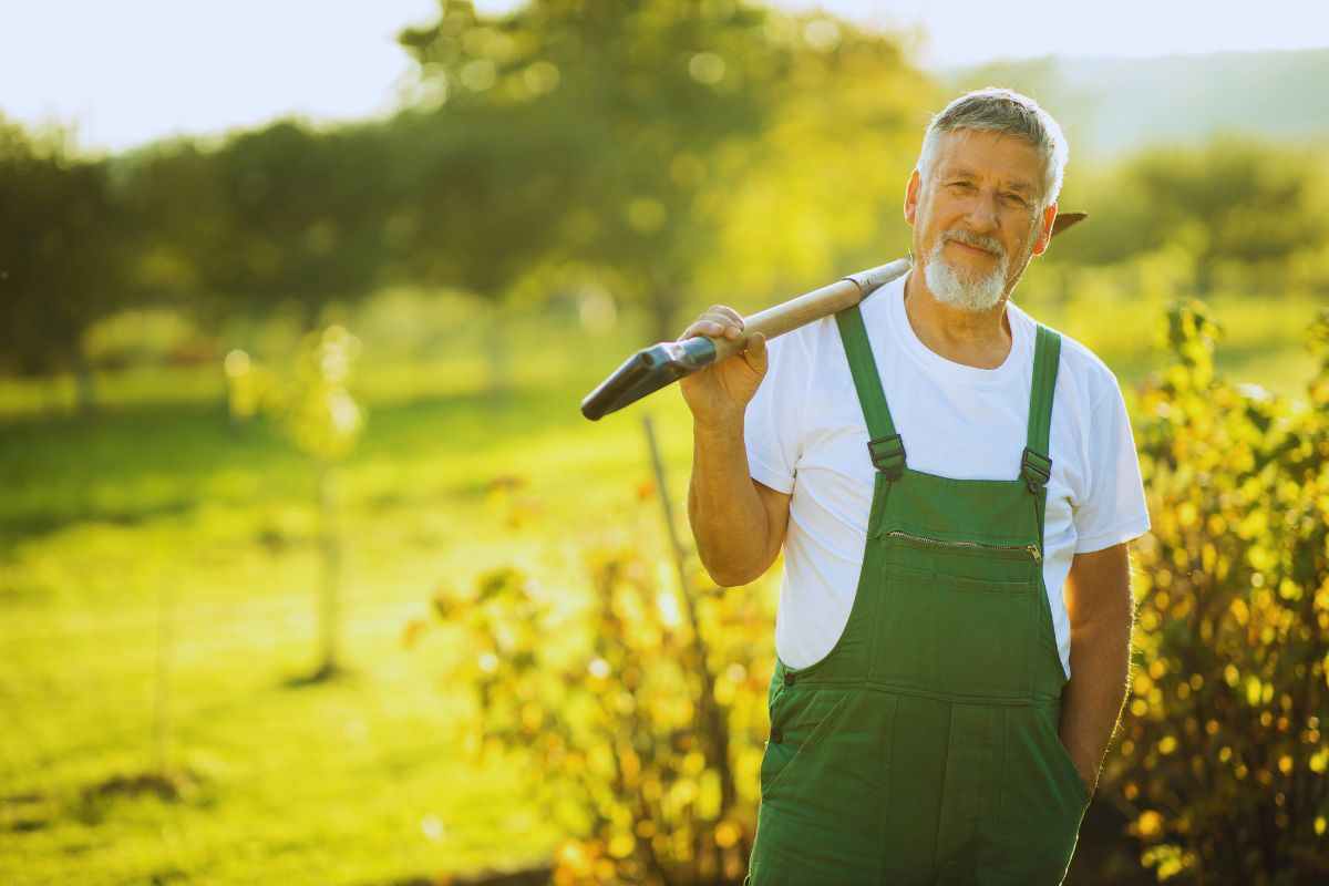 le piante da piantare ora