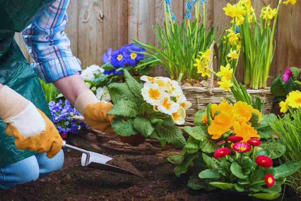 come avere piante rigogliose