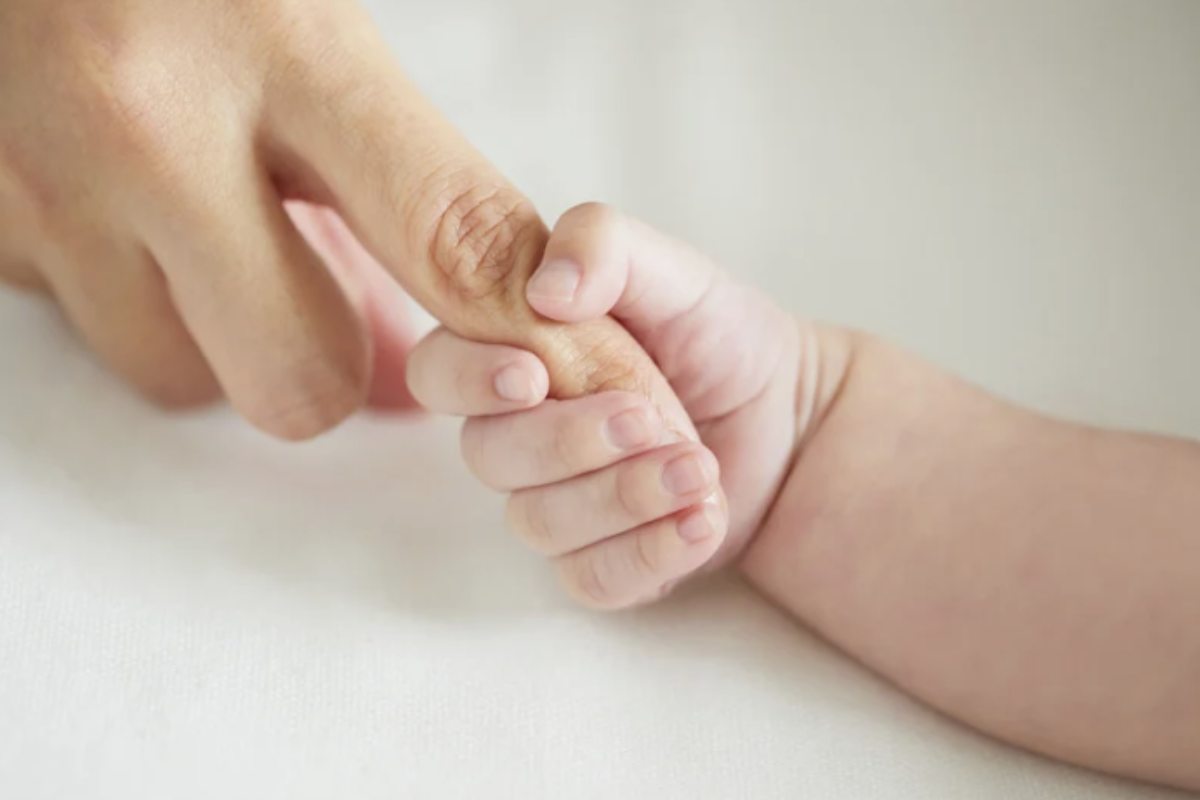 Lavoratore e difensori avevano tentato di mitigare la gravità delle contestazioni sostenendo che l’impegno improprio fosse limitato