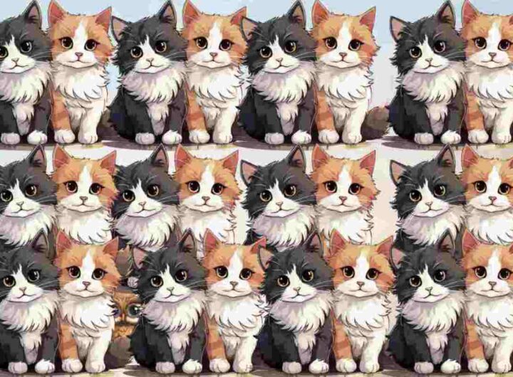 L’immagine protagonista di questa sfida mostra una nutrita schiera di gatti adorabili e variopinti, ognuno con caratteristiche uniche