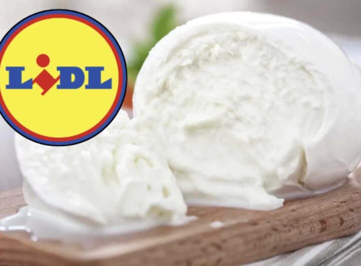 Dietro questa apparente convenienza si cela una realtà produttiva di rilievo, che conferma come spesso la qualità non venga sacrificata