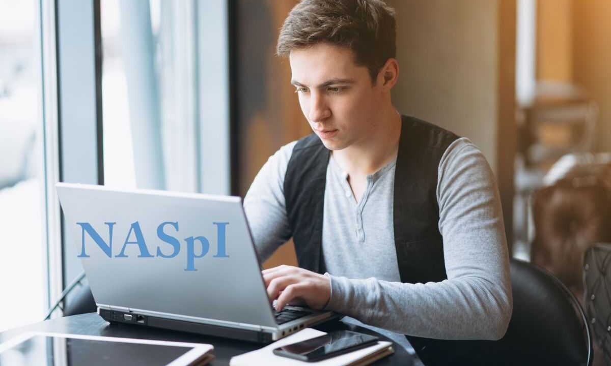 Naspi 2026