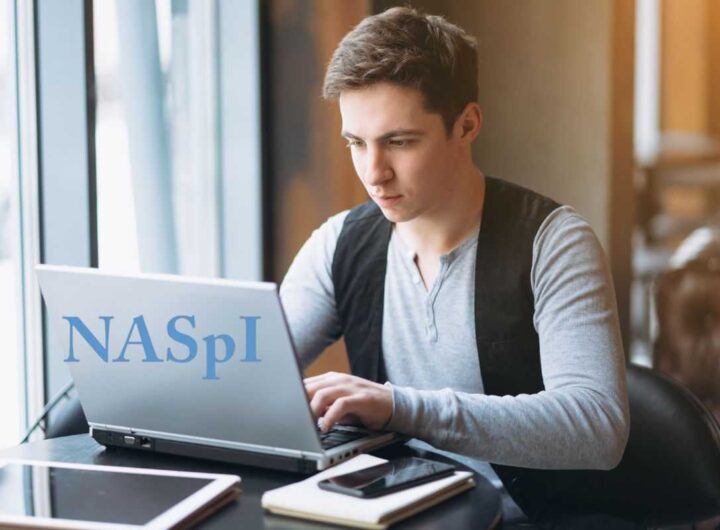 Naspi 2026