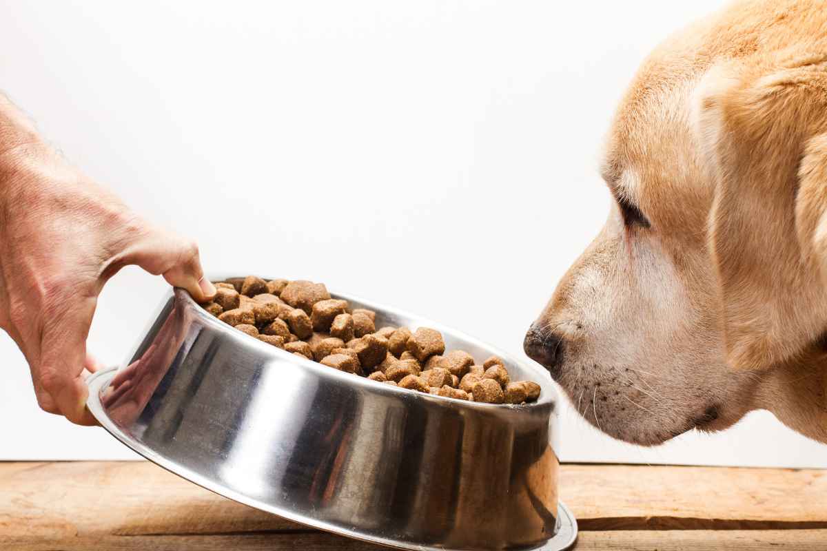 cibo animali detraibili 730