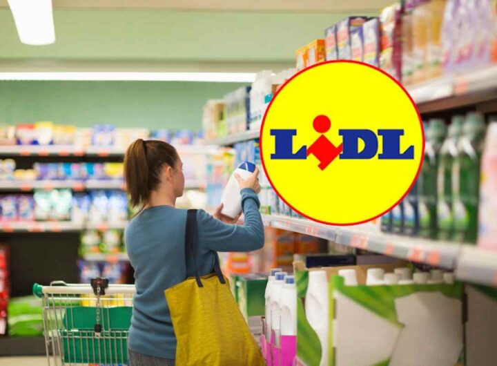 lidl lavapavimenti