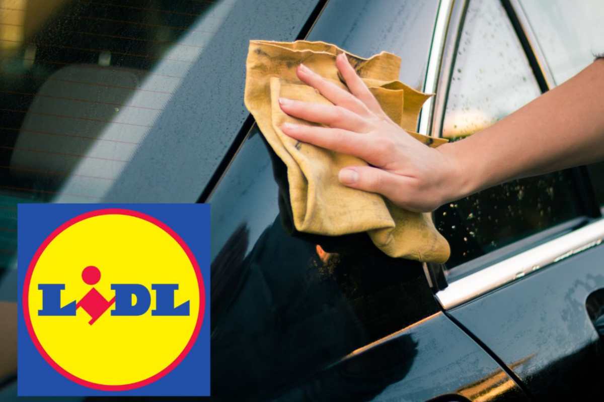 Panni per la pulizia Lidl: i multiuso più venduti