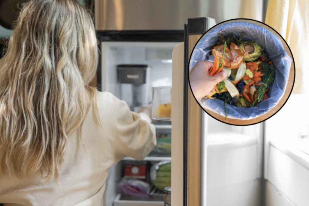 Non tutti i ripiani all’interno di questo elettrodomestico garantiscono le stesse condizioni di temperatura e umidità, fattori essenziali