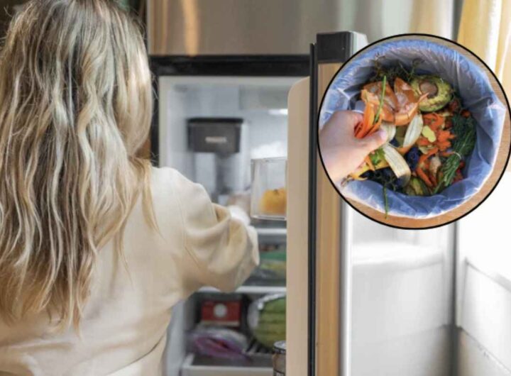 Non tutti i ripiani all’interno di questo elettrodomestico garantiscono le stesse condizioni di temperatura e umidità, fattori essenziali