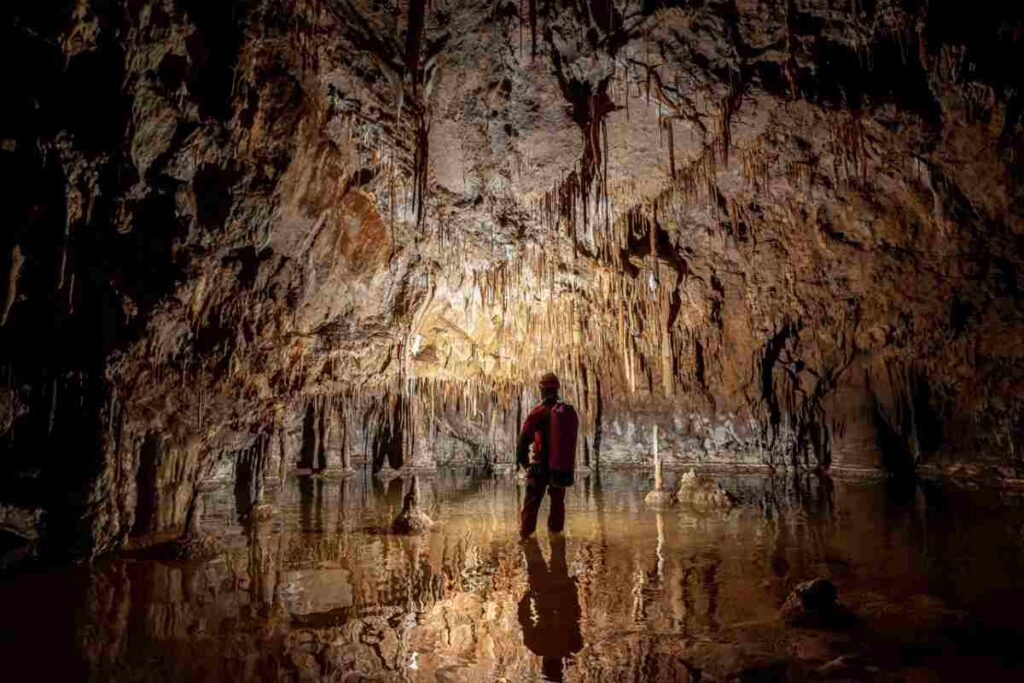 La grotta di Su Palu, situata nel territorio di Urzulei, si connota come il fulcro di un complesso sistema carsico che si sviluppa per oltre 70 chilometri,