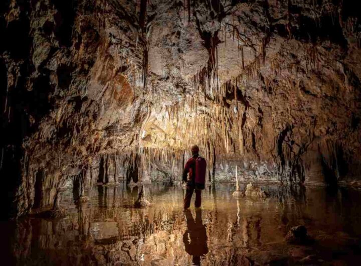 La grotta di Su Palu, situata nel territorio di Urzulei, si connota come il fulcro di un complesso sistema carsico che si sviluppa per oltre 70 chilometri,