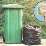 Nel corso degli anni, e con le normative aggiornate, è importante chiarire quando e perché la Tari può essere dovuta anche per le aree esterne pertinenziali,