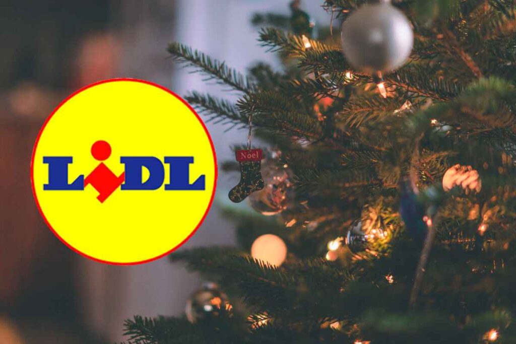 mini abeti natale lidl