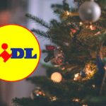 mini abeti natale lidl